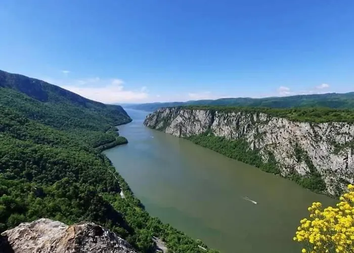 Pakalovic 아파트 *