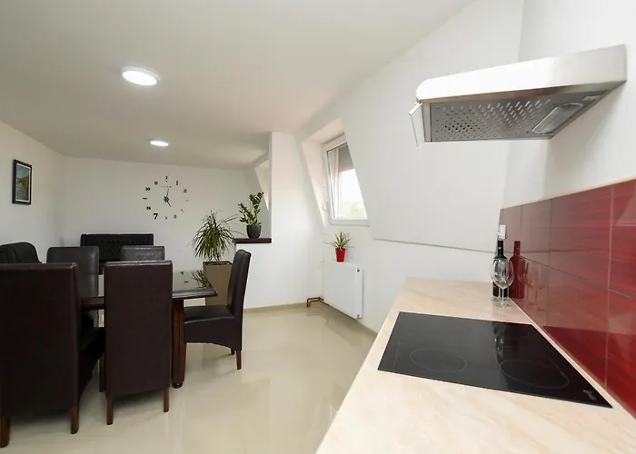 Pakalovic 아파트 Davidovac